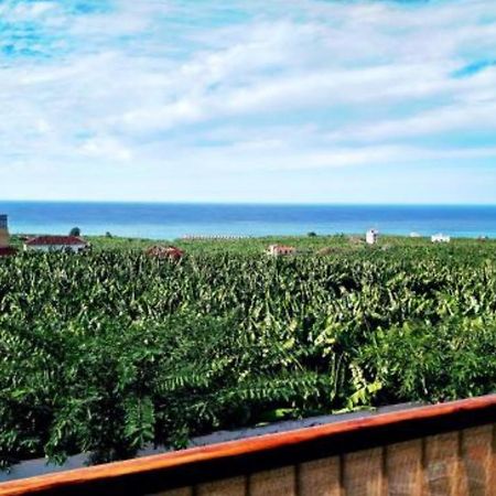 Apartamento El Tejar Tazacorte Exterior foto